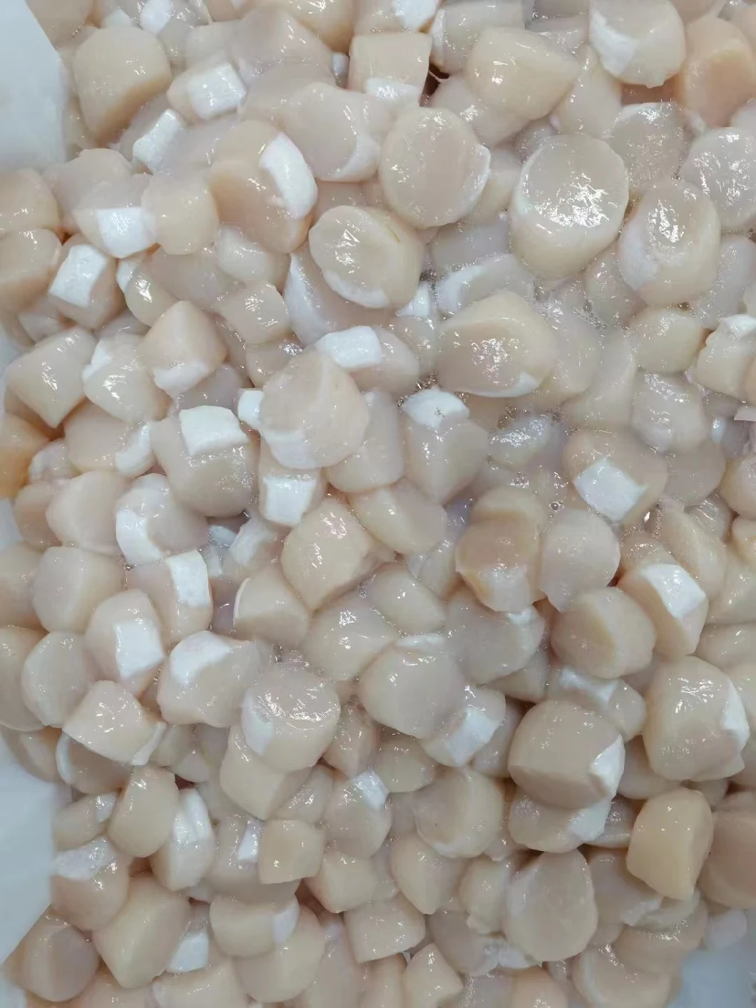 Frozen Scallop Meat/ Frozen Sea Scallop Meat/Frozen Seafood/Shellfish