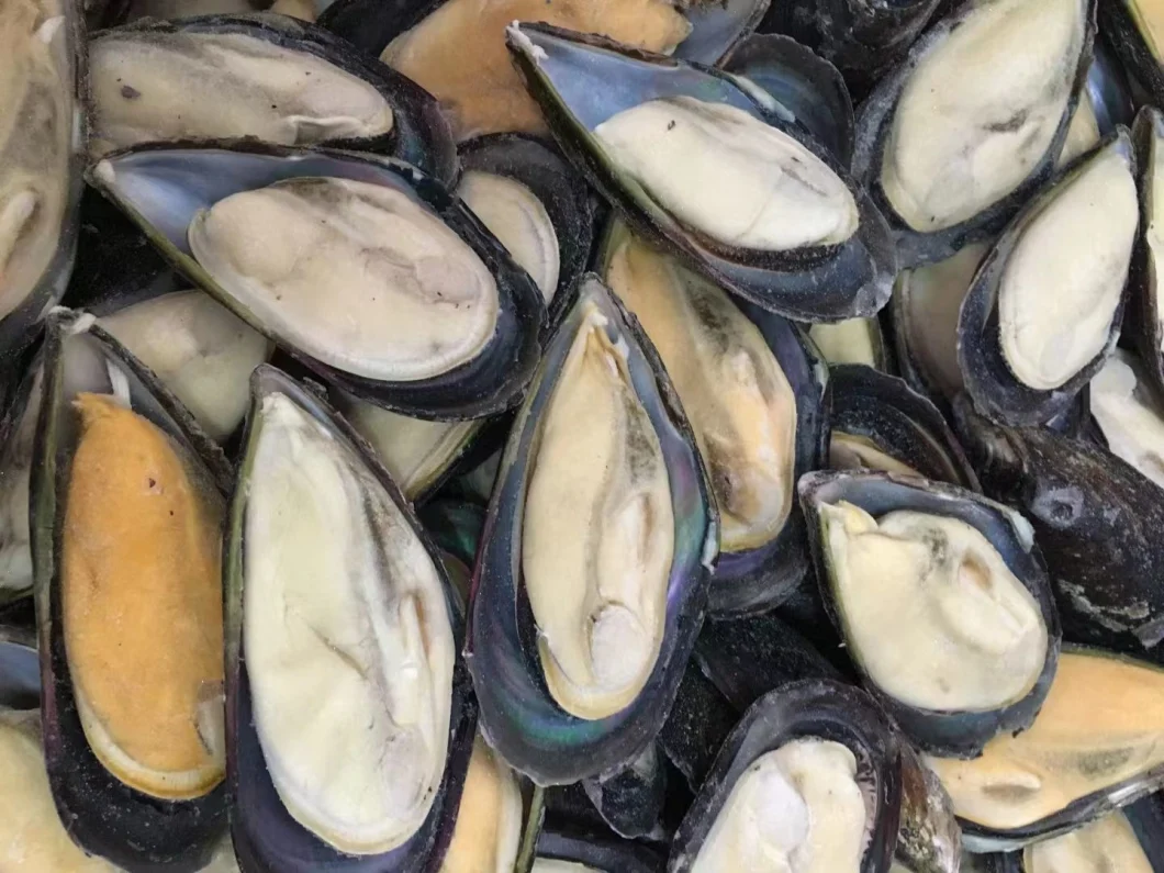 Frozen Delicious Seafood High Quality Half-Shell Mussels