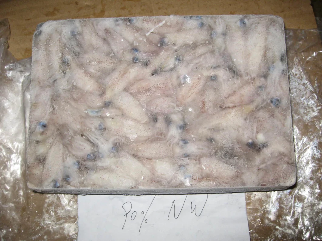 Frozen China Baby Squid, Loligo Japonica