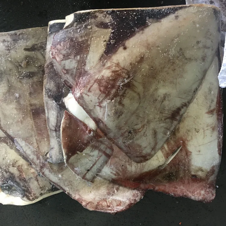 New Landing Peru Frozen Giant Squid Wings From China