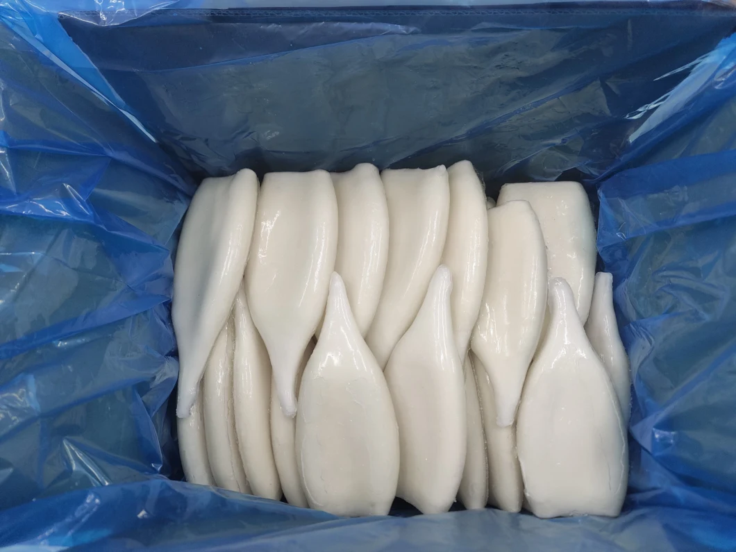 Frozen Illex Squid Tube, /Todarodes Squid Tube/Gigas Squid Tube/ Giant Squid Tube/Calamari/ Calamar/ Sotong/Pota