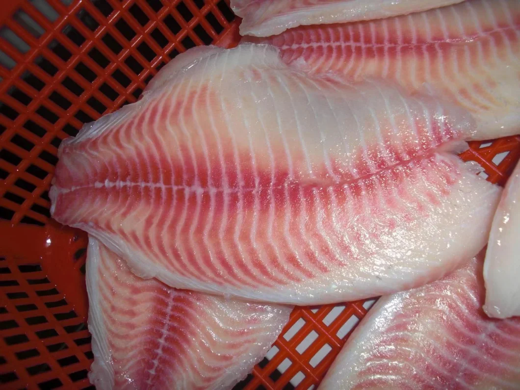 Frozen Chinese Delicious Seafood Tilapia Fillet