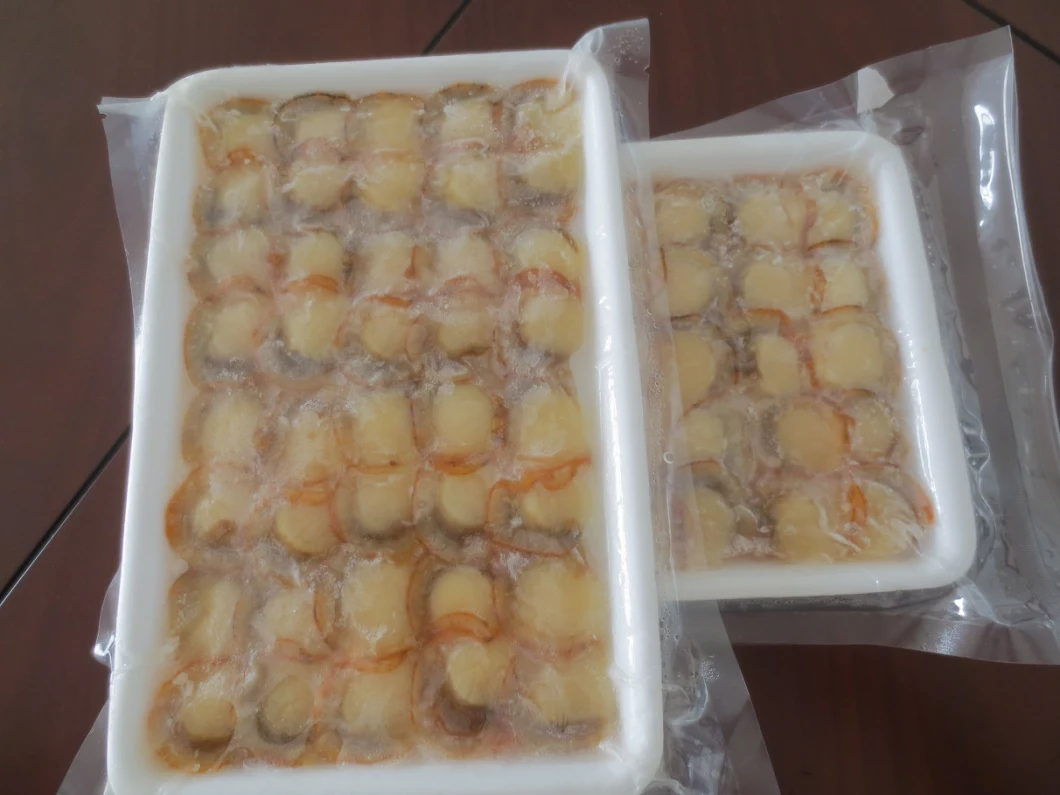 Frozen Boiled Sea Scallop Slice