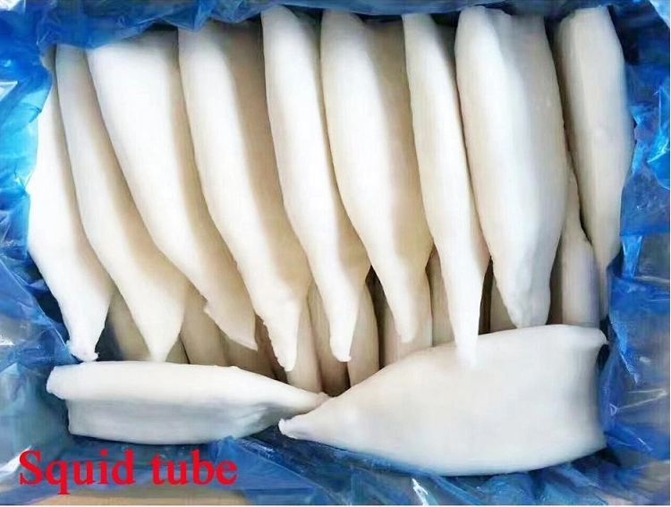 Frozen Iiiex Giant Squid with Vetetable String High Quality Health Seafood Lllex Giant Squid Product Japanese Squid