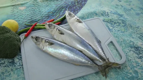 Land Frozen Pacific Mackerel 300-500 г для замороженной скумбрии в продаже